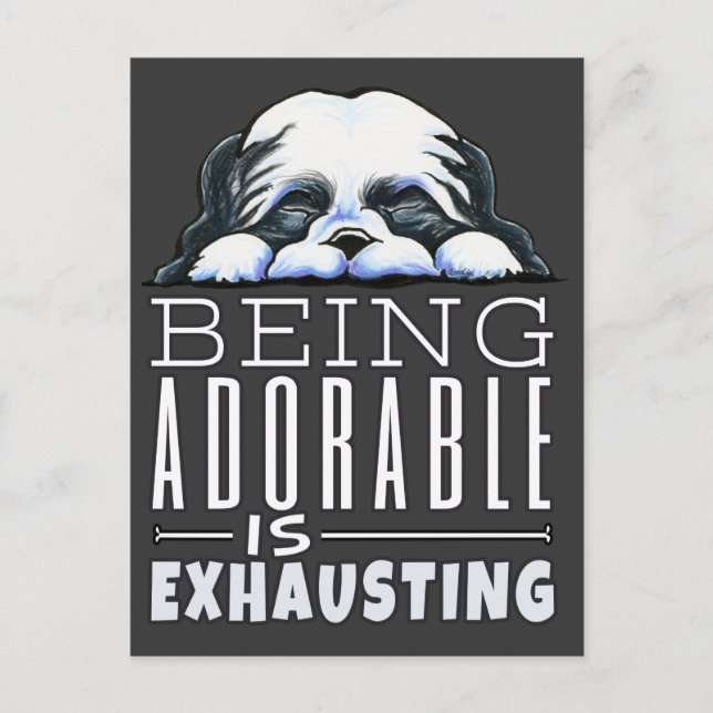 Shih Tzu Being Adorable Postcard (Front)