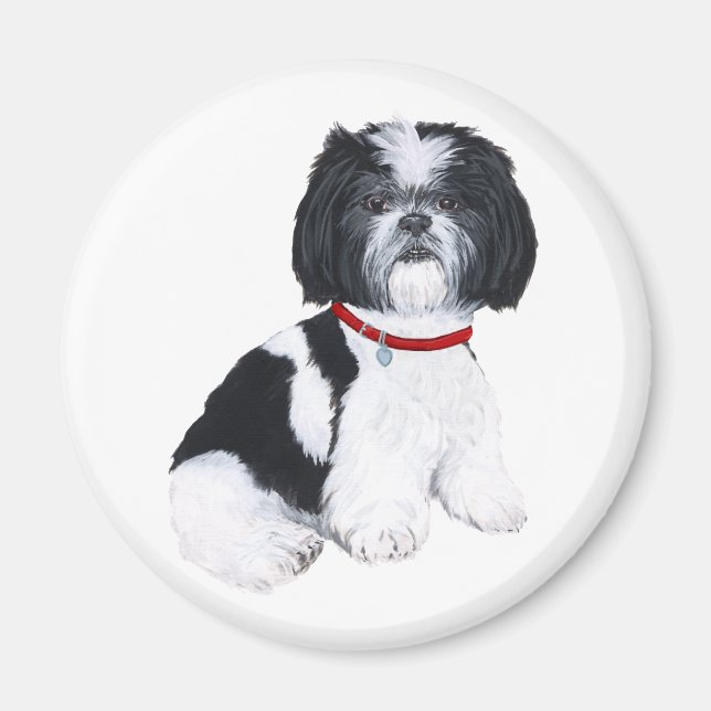 Shih Tzu Black & White Magnet (Front)