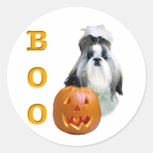 Shih Tzu Boo Classic Round Sticker