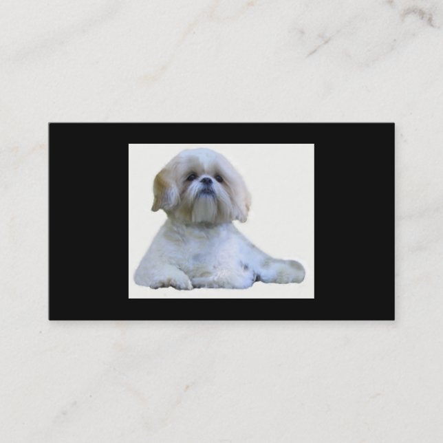 Shih Tzu Breeder Business Card (Front)