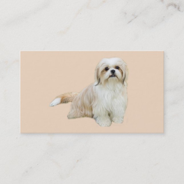 Shih Tzu Breeder Business Card (Front)
