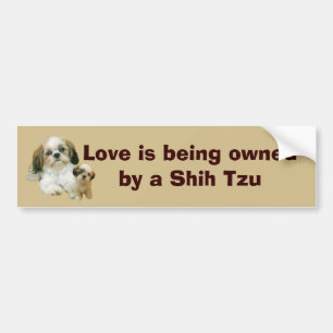 Shih Tzu Buddies Bumper Sticker