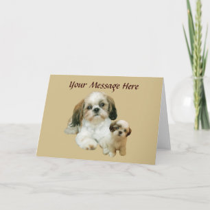 Shih Tzu Buddies Greeting Card