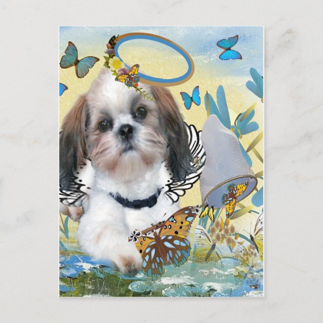 Shih Tzu Butterfly Chaser Cards (Front)