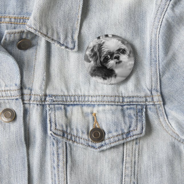 Shih Tzu Button (In Situ)