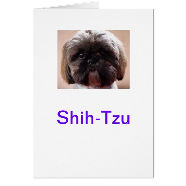 Shih-Tzu card (Front)