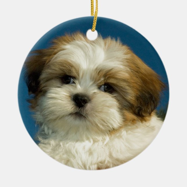 Shih Tzu Ceramic Tree Decoration (Front)