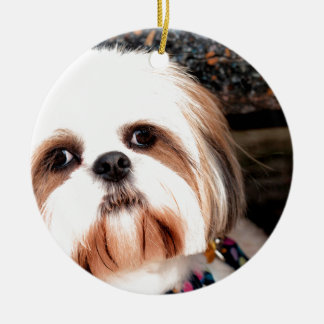 Shih Tzu Ceramic Tree Decoration