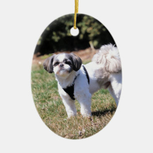 Shih Tzu Ceramic Tree Decoration