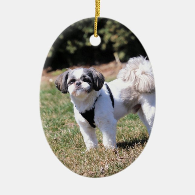 Shih Tzu Ceramic Tree Decoration (Front)
