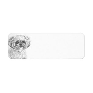Shih Tzu Charcoal