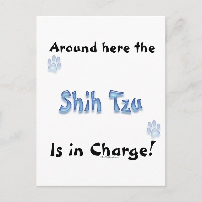 Shih Tzu Charge Postcard (Front)