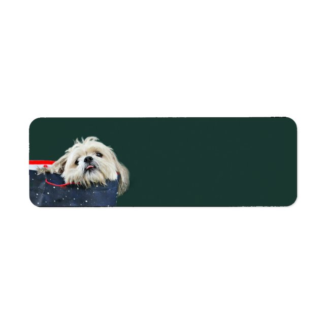 Shih Tzu Christmas (Front)