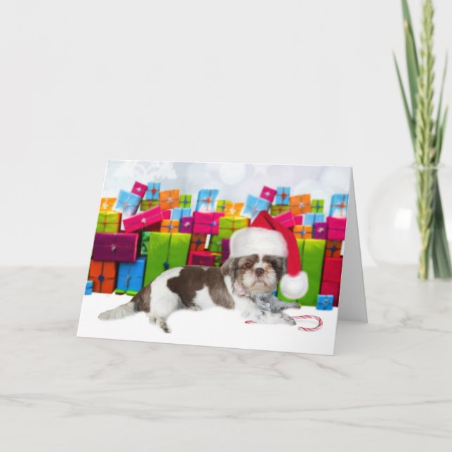 Shih Tzu  Christmas Dog Card (Front)