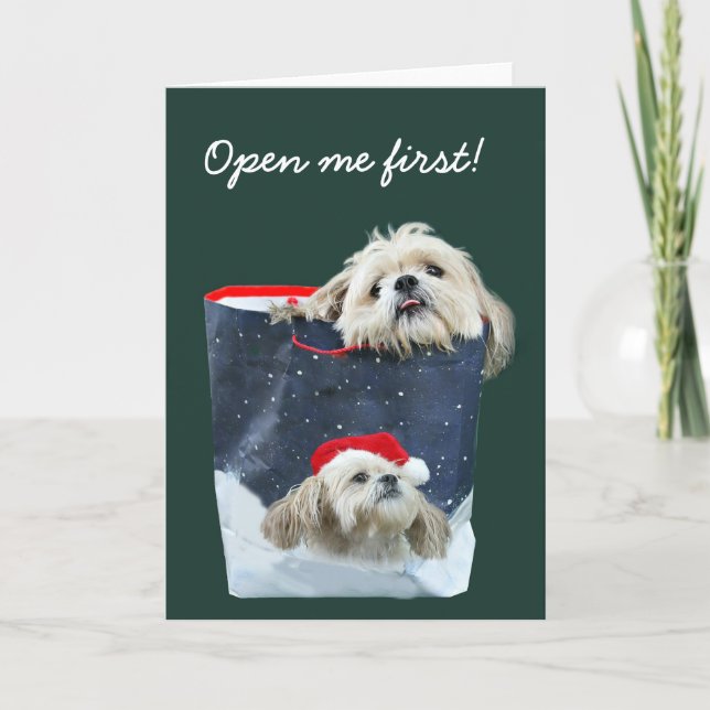 Shih Tzu Christmas gift Holiday Card (Front)