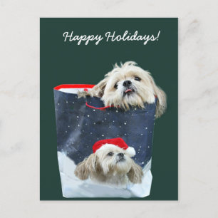Shih Tzu Christmas gift Holiday Postcard