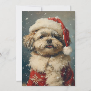 Shih Tzu Christmas  Holiday Card