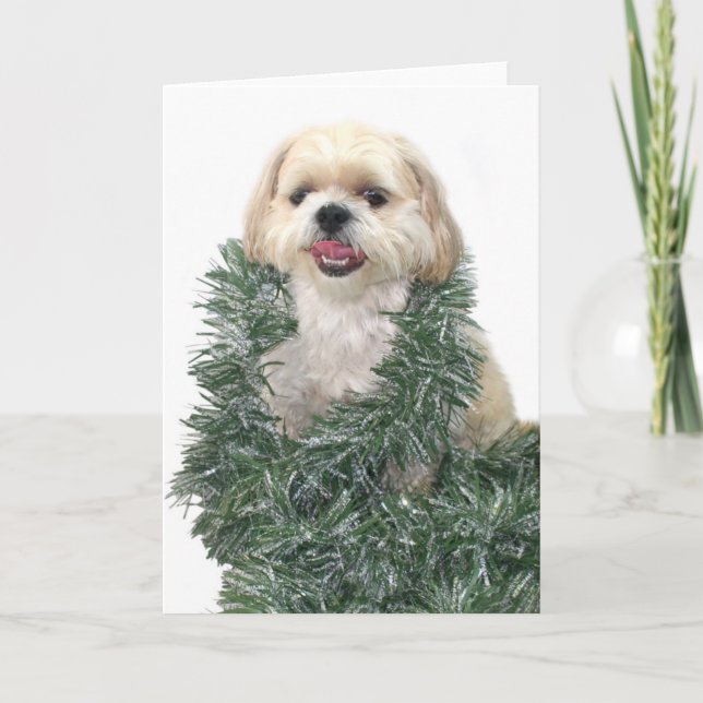 Shih Tzu Christmas Holiday Card (Front)