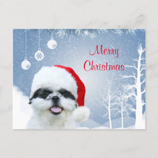 Shih Tzu Christmas Holiday Postcard