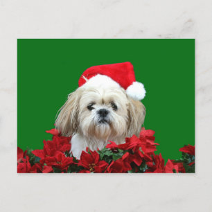 Shih Tzu Christmas Holiday Postcard