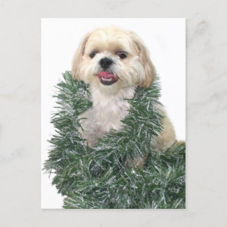 Shih Tzu Christmas Holiday Postcard