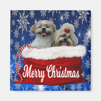Shih tzu Christmas Magnet