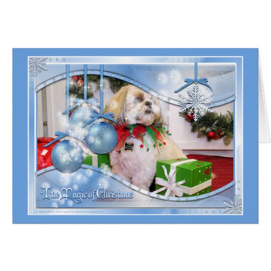 Shih Tzu Christmas Photocard Card