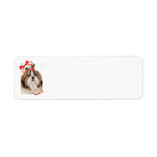 Shih Tzu Christmas Return Address Labels
