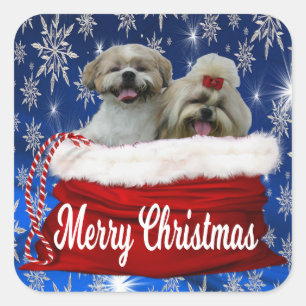 Shih tzu Christmas Stickers