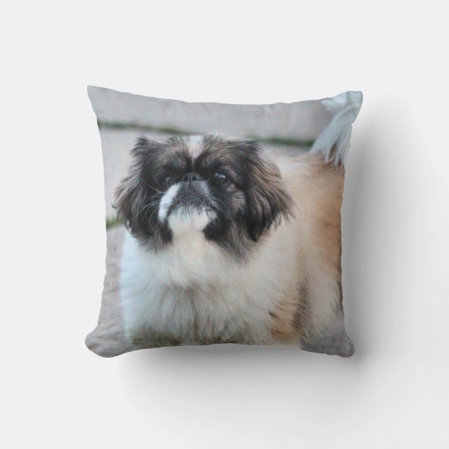 Shih Tzu Cushion (Front)