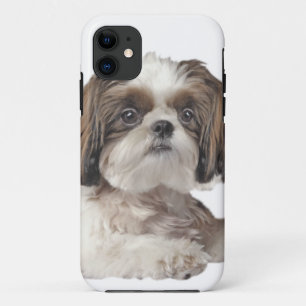 Shih Tzu Cuteness iPhone 11 Case