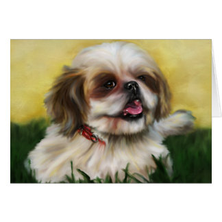 Shih Tzu Dog Art - Sophie
