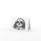 Shih Tzu Dog Blank