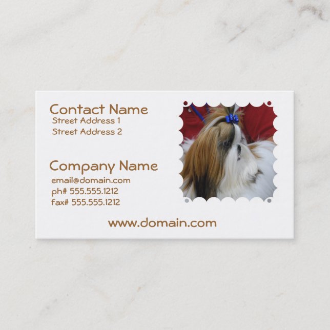 Shih Tzu Dog Business Cards (Front)
