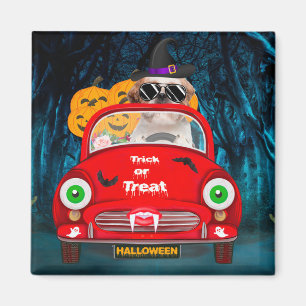 Shih Tzu Dog Driving Car Scary Halloween Magnet