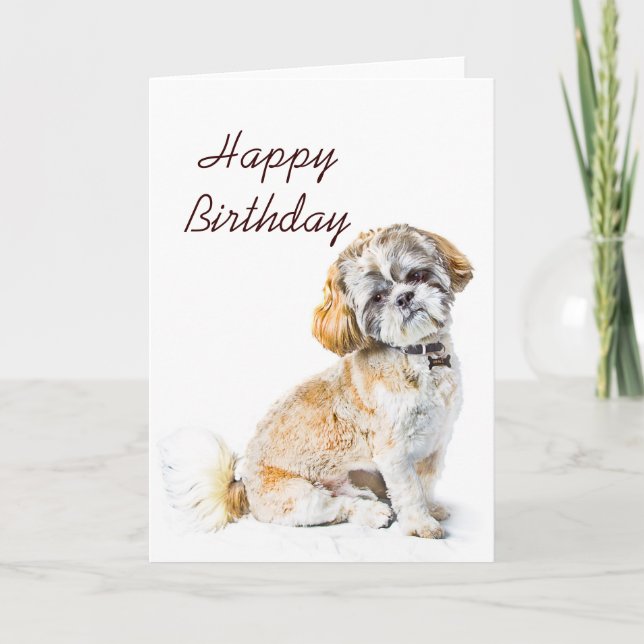 Shih Tzu Dog Happy Birthday Card (Front)