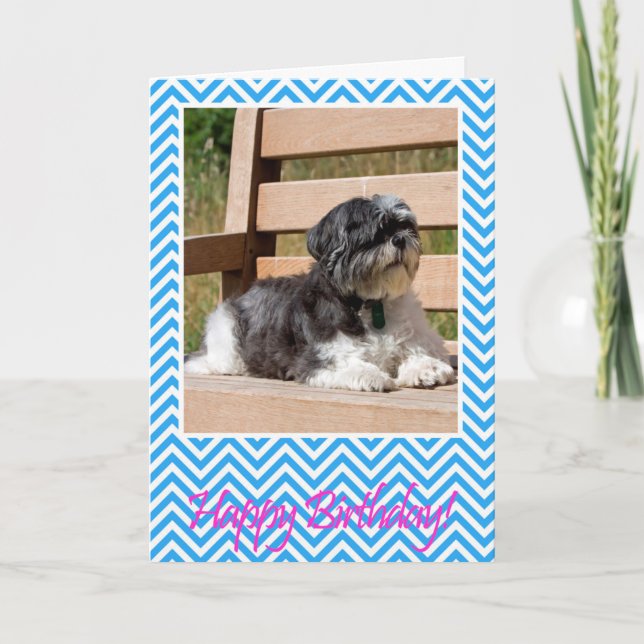 Shih Tzu Dog Happy Birthday Greeting Card (Front)