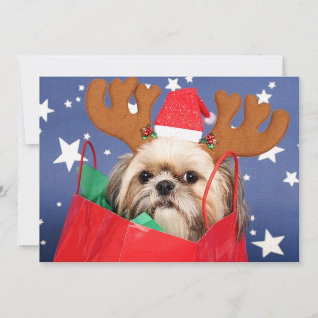 Shih Tzu dog in a red shopping bag (Front)