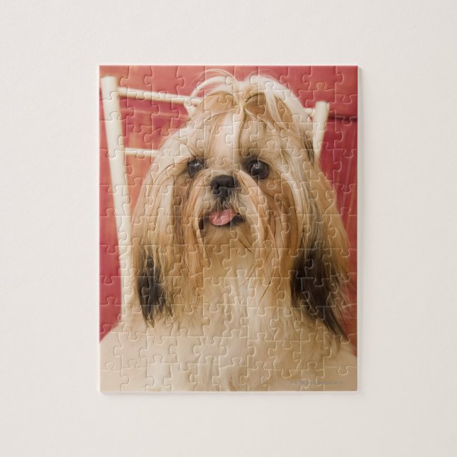Shih-tzu dog jigsaw puzzle (Vertical)