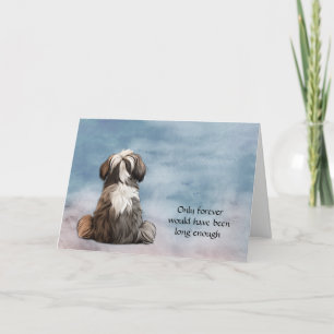 Shih Tzu Dog Loss Sympathy Card