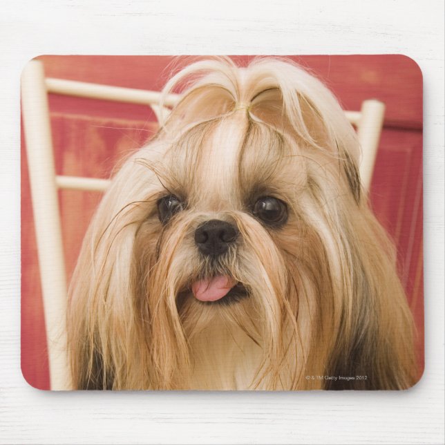 Shih-tzu dog mouse mat (Front)