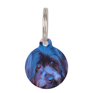 Shih Tzu Dog. Pet Tag