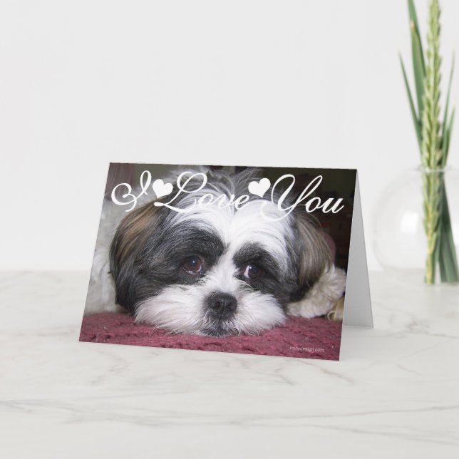 Shih Tzu Dog Photo Image I Love You Card (Front)