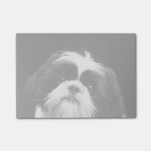 Shih Tzu dog post it notes