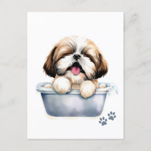 Shih Tzu Dog Postcard