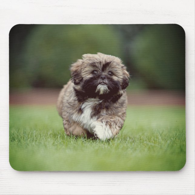 Shih tzu, Dog, Puppy Mouse Mat (Front)