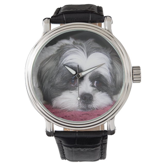 Shih Tzu Dog Watch (Front)