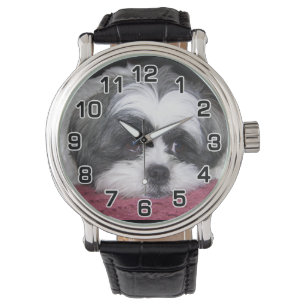 Shih Tzu Dog Watch