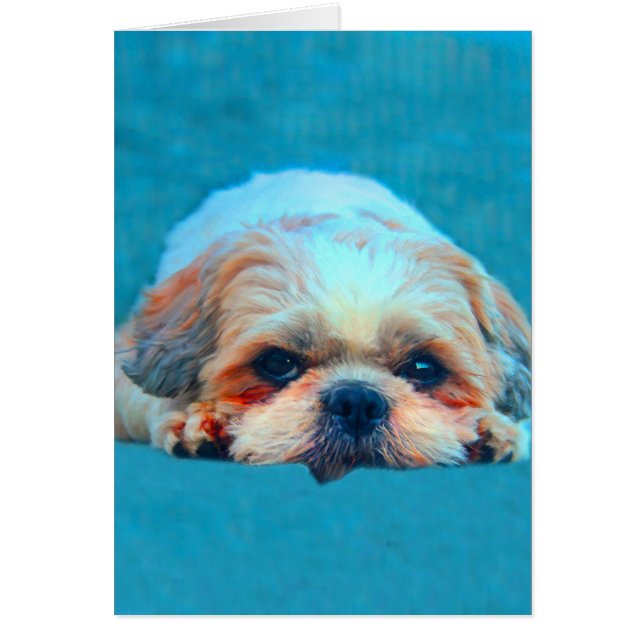 Shih Tzu Dog Water colour art Portrait (Front)