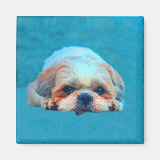 Shih Tzu Dog Water colour art Portrait Magnet (Front)